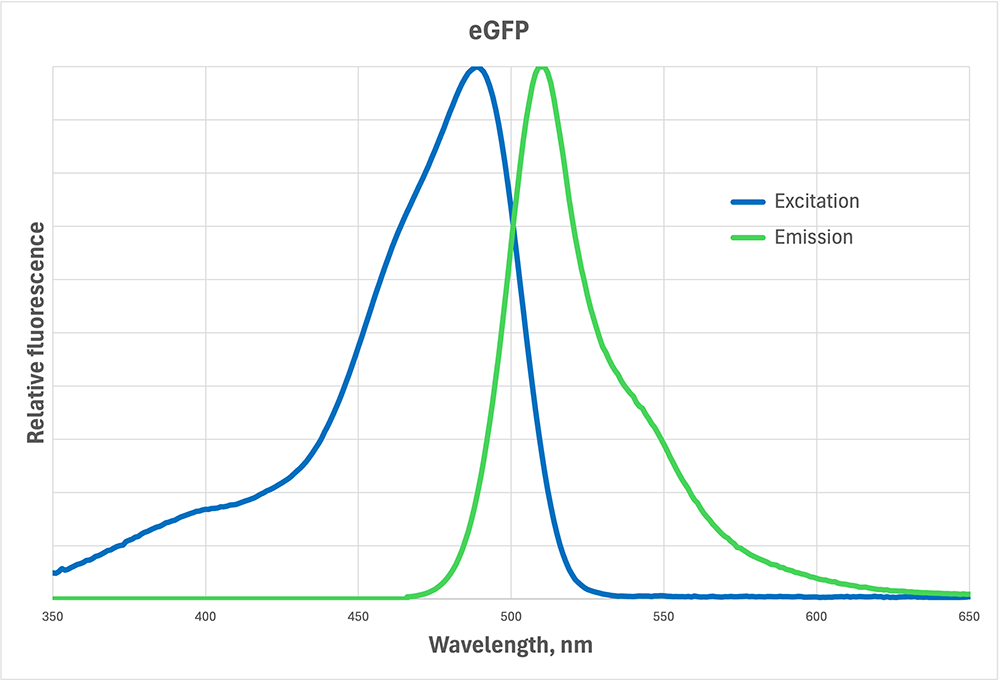 GFP-spectra-1000.png