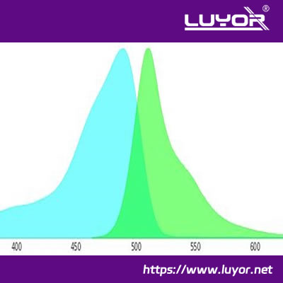 GFP和YFP荧光蛋白激发光源可以共用么？